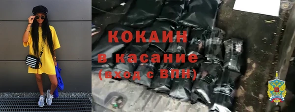 гидра Верхний Тагил