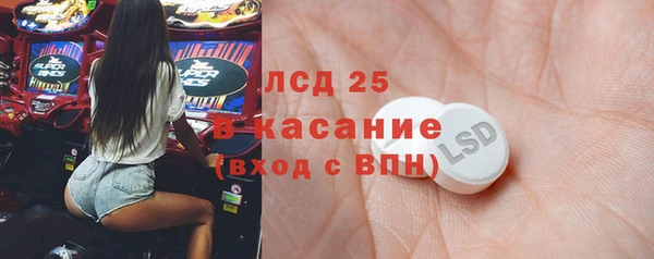шишки Верея