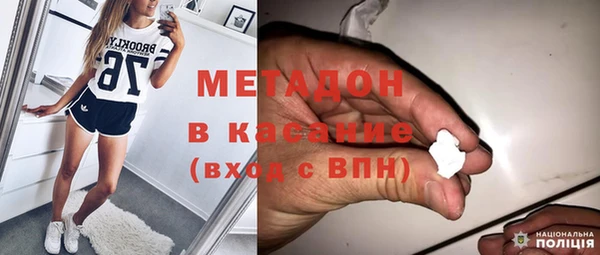 шишки Верея