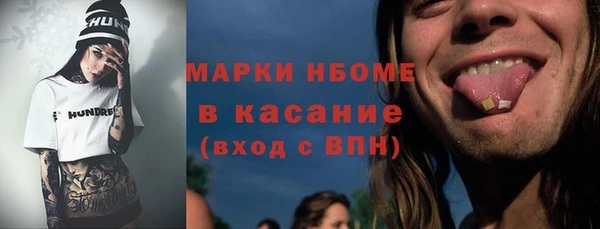 шишки Верея