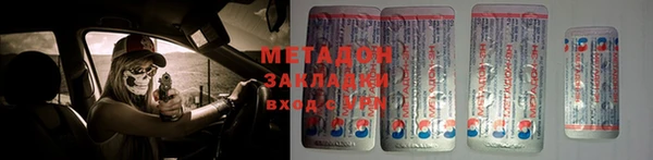шишки Верея