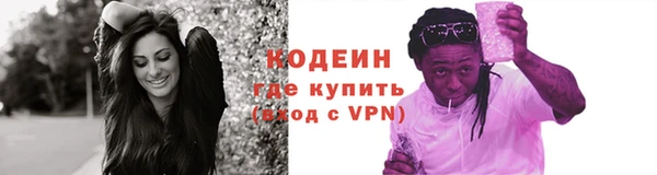 шишки Верея