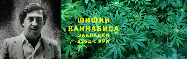 гидра Верхний Тагил