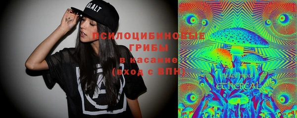 гидра Верхний Тагил