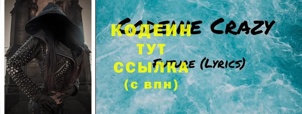шишки Верея